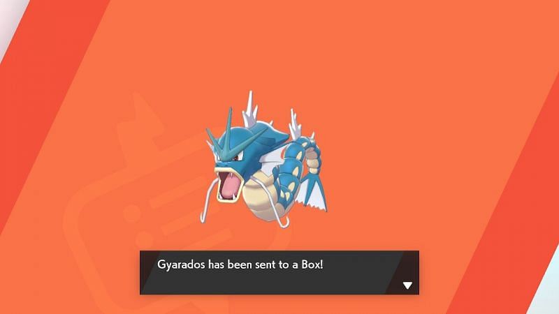 To easily catch Gyarados in Pok&eacute;mon Sword and Shield, visit Route 2 and search the lake with your Rotom Bike. You&rsquo;ll eventually find Gyarados swimming in the water.