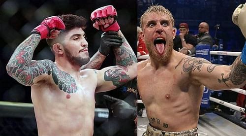 Dillon Danis wants to fight Jake Paul