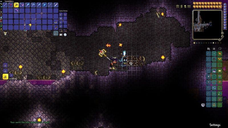 magic quiver terraria