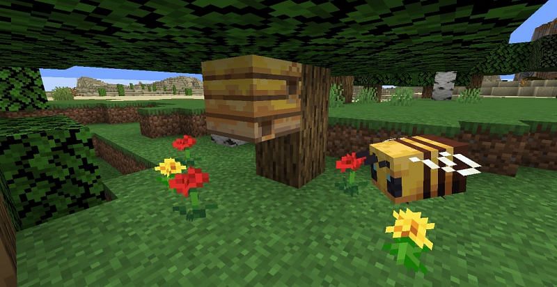 GROWING UP as a BEE in Minecraft! 