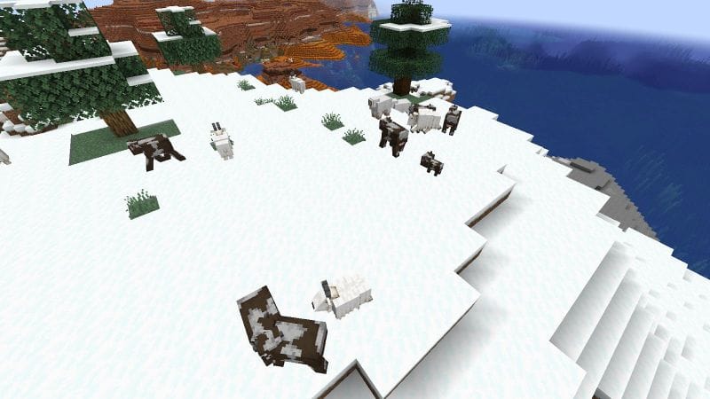 Minecraft Goats Spawning Behavior Drops Trivia More