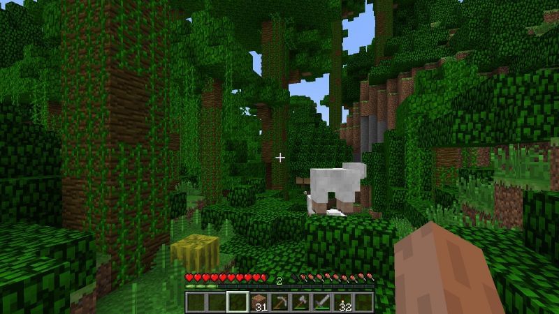 Melon in the jungle (Image via minecraftforum)