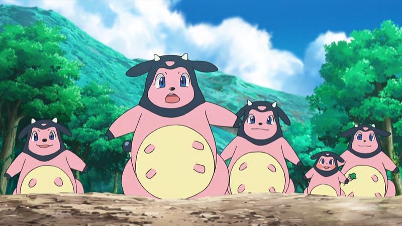 Miltank herd (Image via The Pokemon Company)