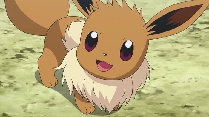 Eevee in the anime (Image via The Pokemon Company)