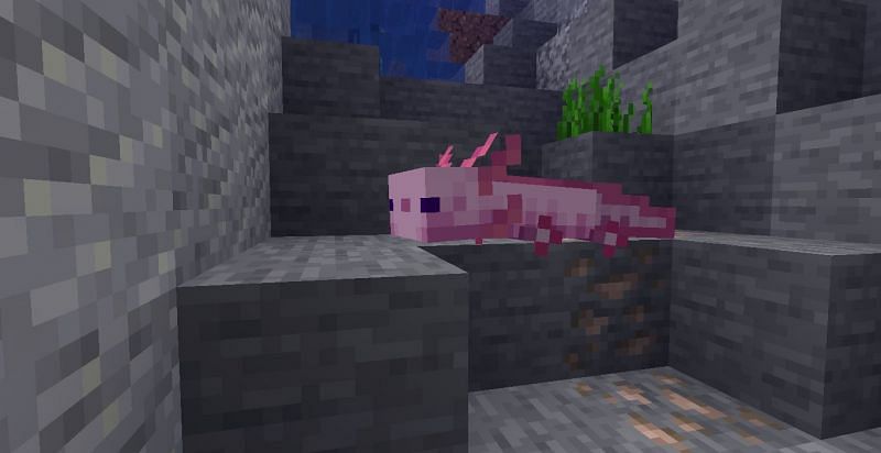 Image via Minecraft (Mojang)