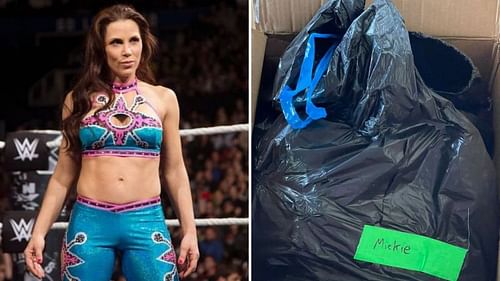 What did various people in the wrestling industry have to say today regarding WWE's treatment of Mickie James?