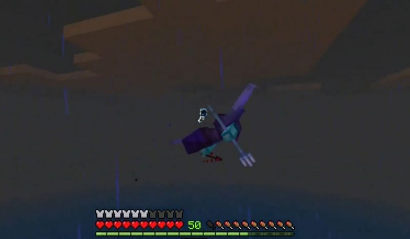 A bold player flying toward The Wither (Image via u/shootingstar557 on Reddit)