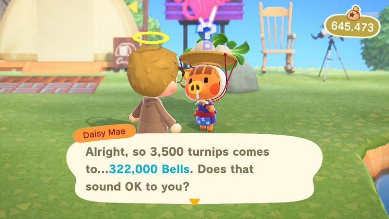 (Image via Animal Crossing world)