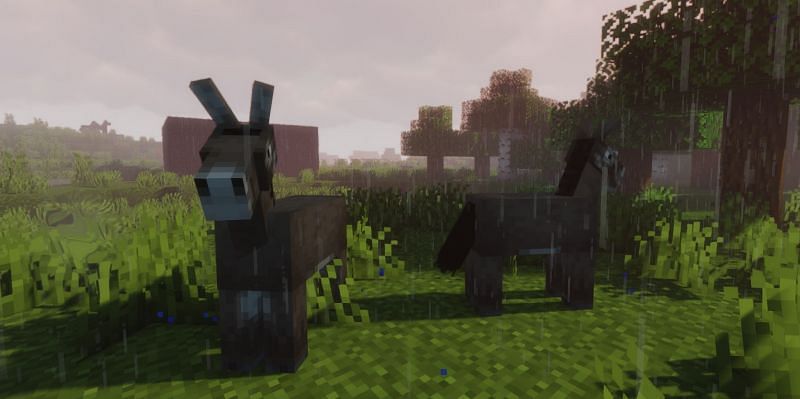 Shown: Two Donkeys in the grass (Image via Minecraft)