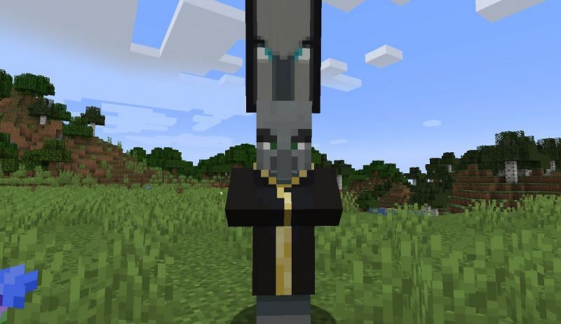 Shown: The rare Raid Captain Evoker (Image via Minecraft)