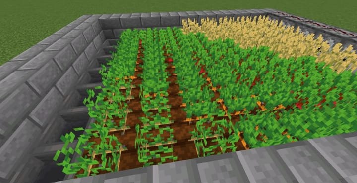 How to build an auto-harvest survival farm in Minecraft