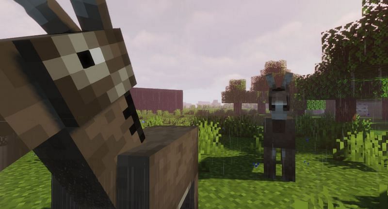 Donkeys are a useful mob in Minecraft (Image via Minecraft)