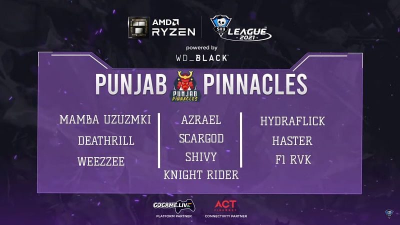 Punjab Pinnacles Line-up (Screengrab from Skyesports league)