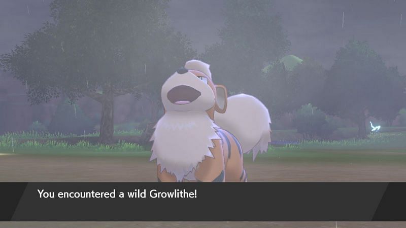 Steps to catch Arcanine in Pokemon sword and Shield