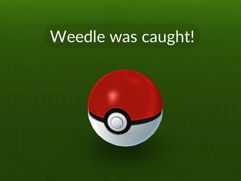 The Pokemon GO screen shortly after catching a common Pocket Monster, Weedle. (Image via Niantic)