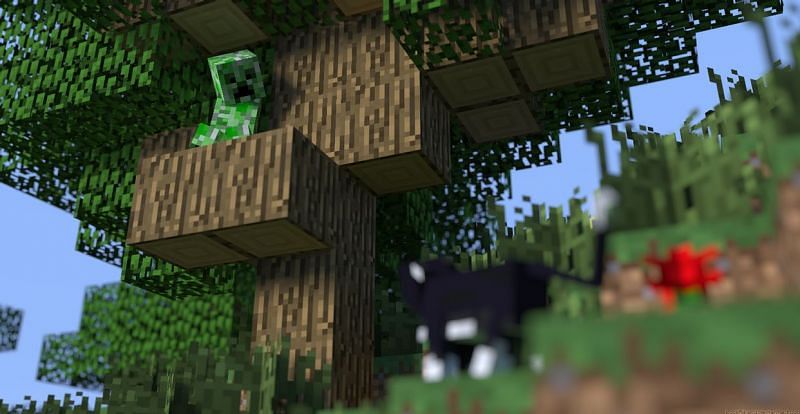 Creeper scared of ocelot Minecraft (Image via hypixel)