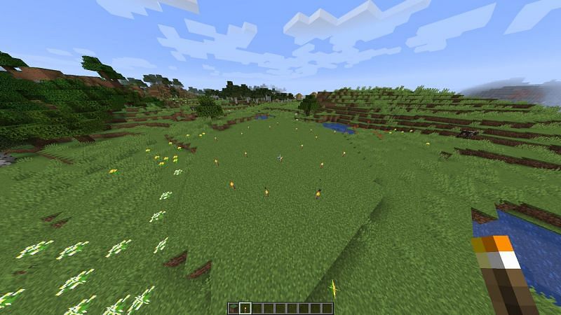 Players must make sure that the area is flat and lit up (Image via Minecraft)