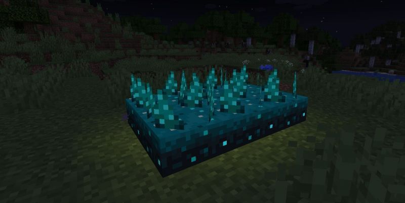 Shown: Sculk Sensors emitting light once activated (Image via Minecraft)