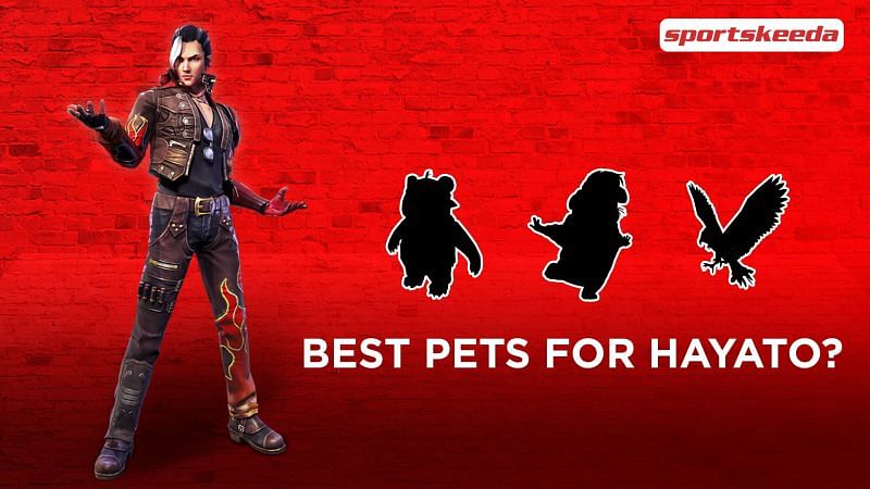 What are the best pets to pair with Hayato in Free Fire&#039;s Clash Squad mode? (Image via Sportskeeda)