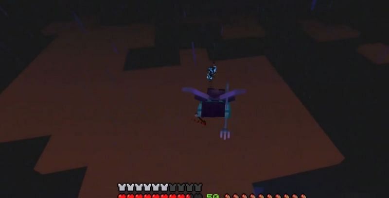 OP about to dive upon the Wither from above (Image via u/shootingstar557 on Reddit)