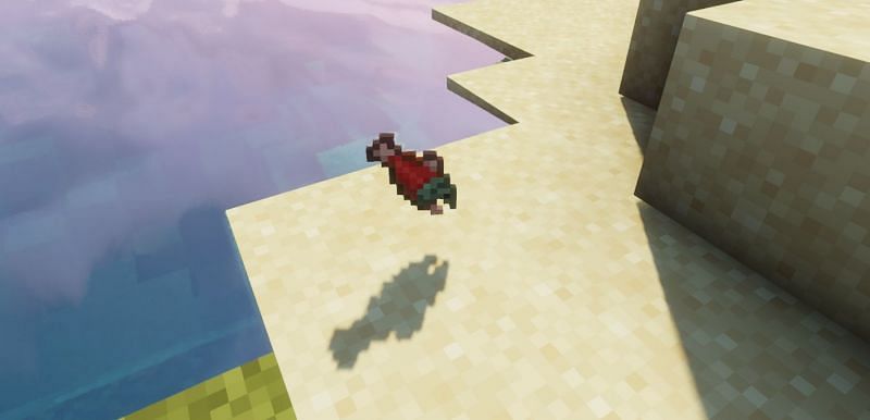 Shown: A raw salmon item (Image via Minecraft)