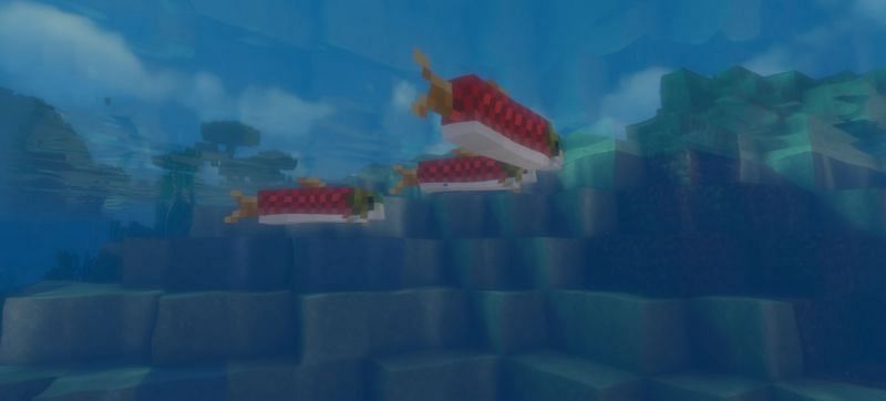 Shown: A small school of wild salmon (Image via Minecraft)