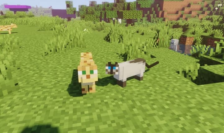 Ocelot vs. Cat in Minecraft: What's the difference?