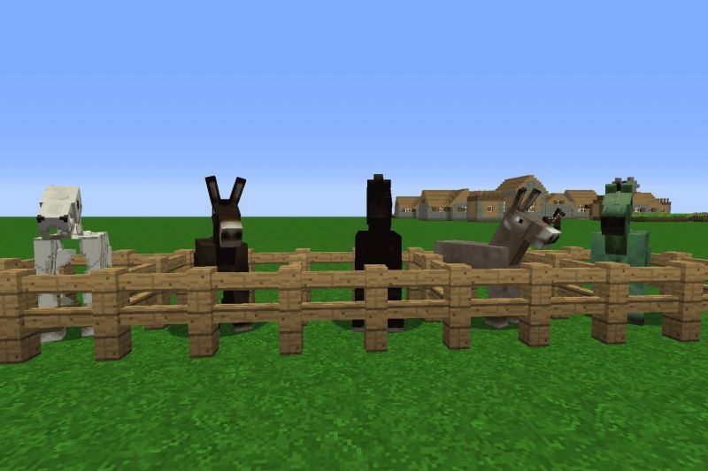 Mules in Minecraft (Image via livewire)