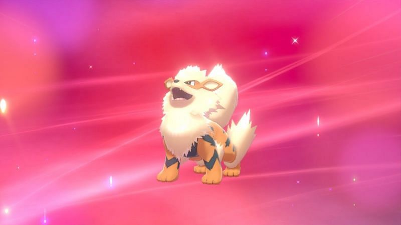 Quick way to catch Arcanine in Pokemon sword and Shield