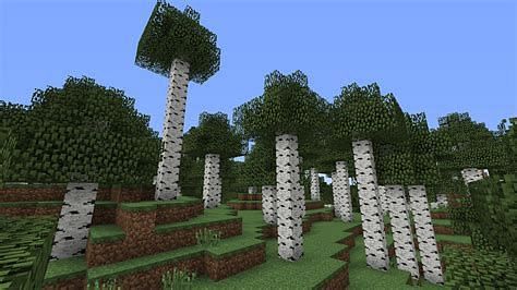 Tall birch trees (Image via Minecraftforum)