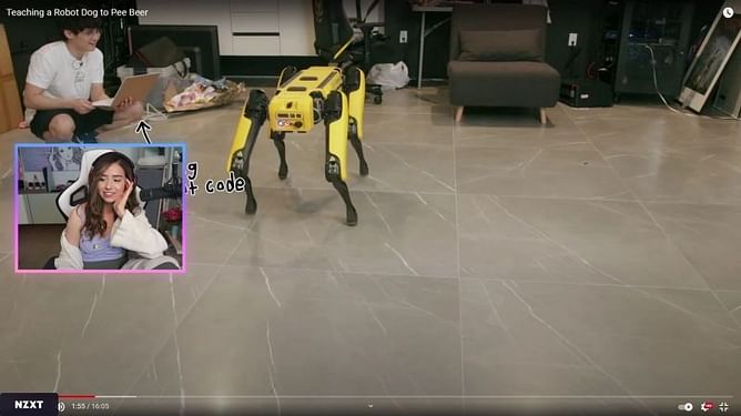 Pokimane in disbelief after watching Micheal Reeves teach a Robot dog to pee