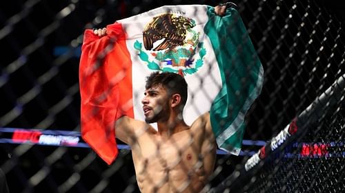 Yair Rodriguez