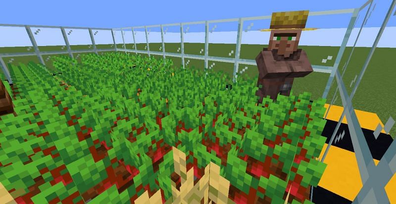 An automatic crop farm utilizing the farmer villager in Minecraft (Image via Minecraft)