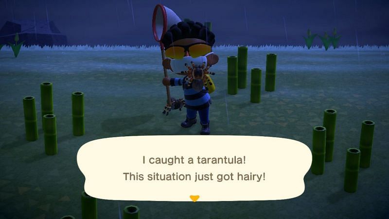 (Image via Animal Crossing world)