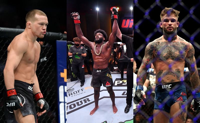 Petr Yan, Aljamain Sterling, Cody Garbrandt