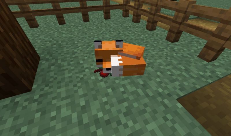 Minecraft fox sleeping under a tree (Image via Reddit)