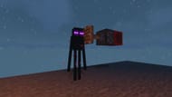 Some Mobs may change how you approach the farm. For example, Endermen teleport out of water and therefore must be either pushed with Pistons or lured with an Endermite.