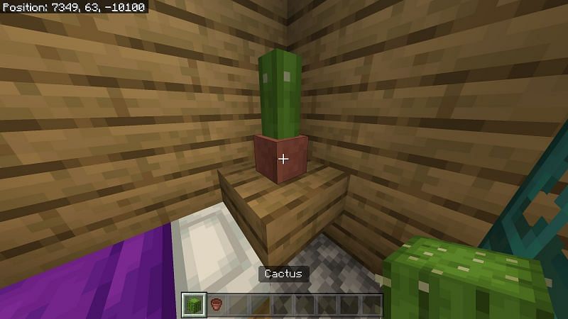 You can also plant a cactus by placing a flower pot and placing a cactus inside.&nbsp;
