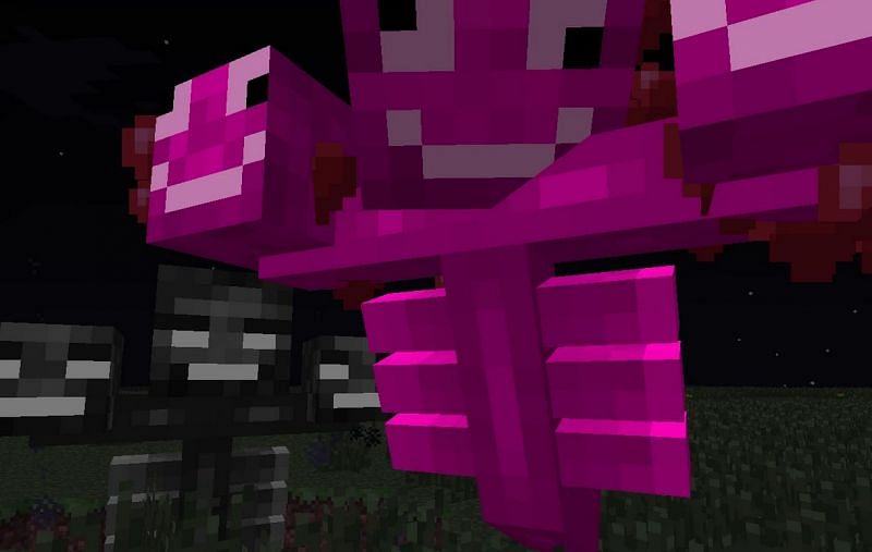 Shown: The derpy Pink Wither, added as a April Fools joke (Image via minecraft.fandom)