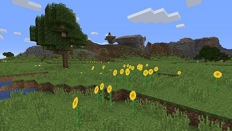 Sunflowers pointing east (Image via Minecraft)