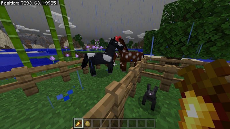 Breeding horses in Minecraft