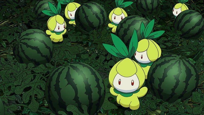 Petilils (Image via The Pokemon Company)