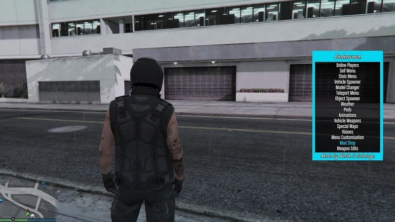 GTA Online players sometimes look to mods to enhance their gaming experience (Image via GTA5-Mods.com)