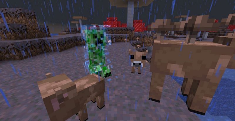 A diamond armor skeleton spawned in the exp farm with enchanted leggings  and helmet : r/Minecraft