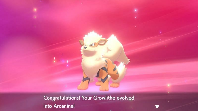 Steps to catch Arcanine in Pokemon sword and Shield