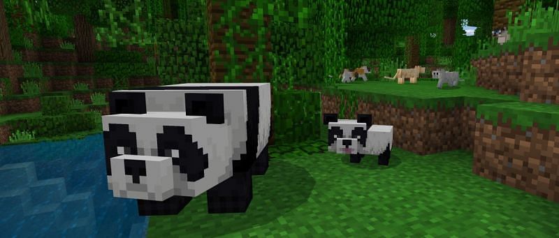 When pandas are killed in Minecraft, they drop 1-2 pieces of bamboo on the ground (Image via Minecraft)