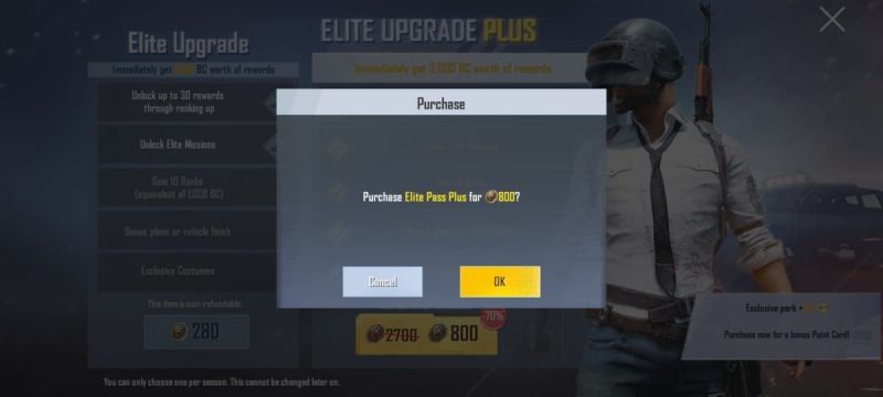 Confirm the purchase to upgrade the pass