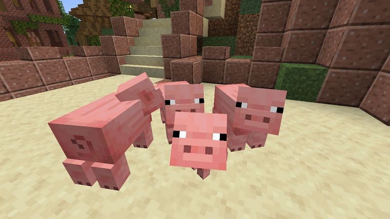 Minecraft pigs (Image via minecraft-resourcepacks.com)