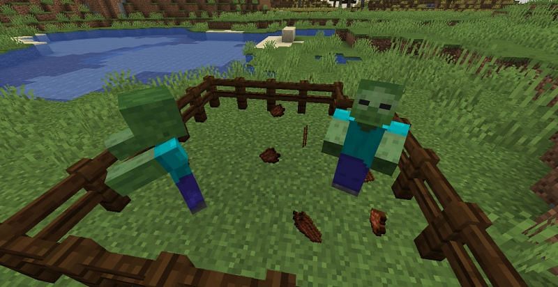 Top 5 uses of Rotten Flesh in Minecraft