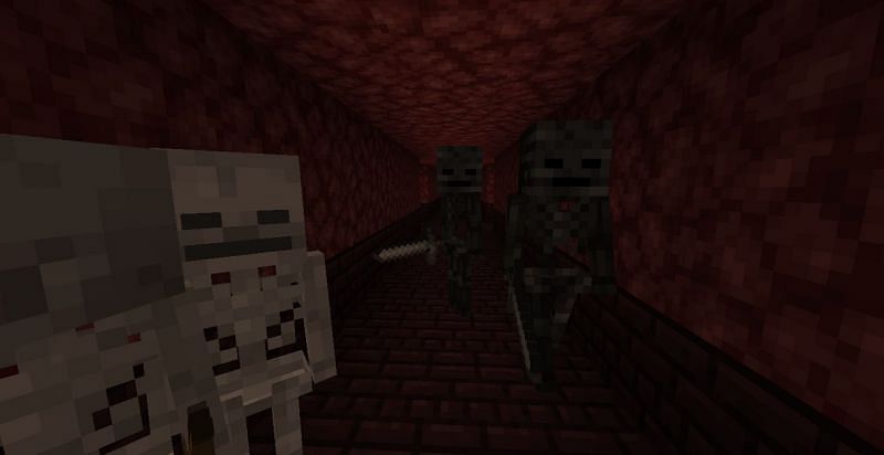 Skeletons Vs Wither Skeletons In Minecraft How Different Are The Two Mobs